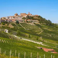 Vue panoramique de La Morra, Italie, avec ses vignobles en terrasses ondulant sur les collines, menant à un village pittoresque couronnant la crête.