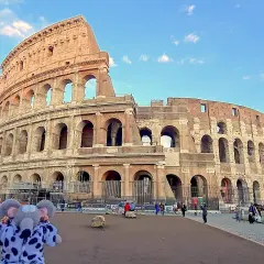 Un éléphant en peluche devant le Colisée. On se demande si peut on visiter le Colisée sans réservation, mais ce petit visiteur semble prêt à explorer !