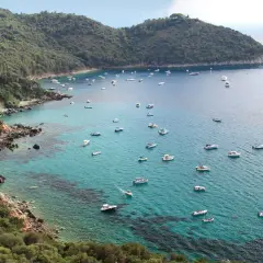 Baie pittoresque de Tirrenia, Italie, avec de nombreux bateaux naviguant sur des eaux turquoise cristallines bordées de collines verdoyantes.