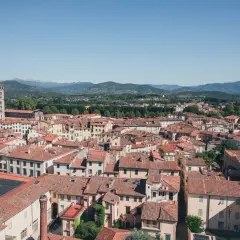 Vue aérienne de Lucques, avec ses toits de tuiles rouges et la tour de Guinigi se détachant sur les collines verdoyantes.