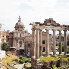 Un goéland observe les ruines antiques du Palatin à Rome, avec une église à dôme en arrière-plan.