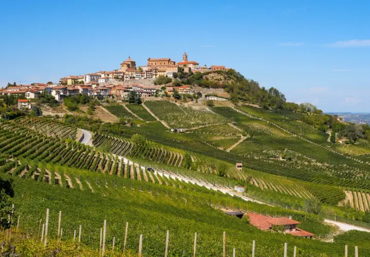 Vue panoramique de La Morra, Italie, avec ses vignobles en terrasses ondulant sur les collines, menant à un village pittoresque couronnant la crête.