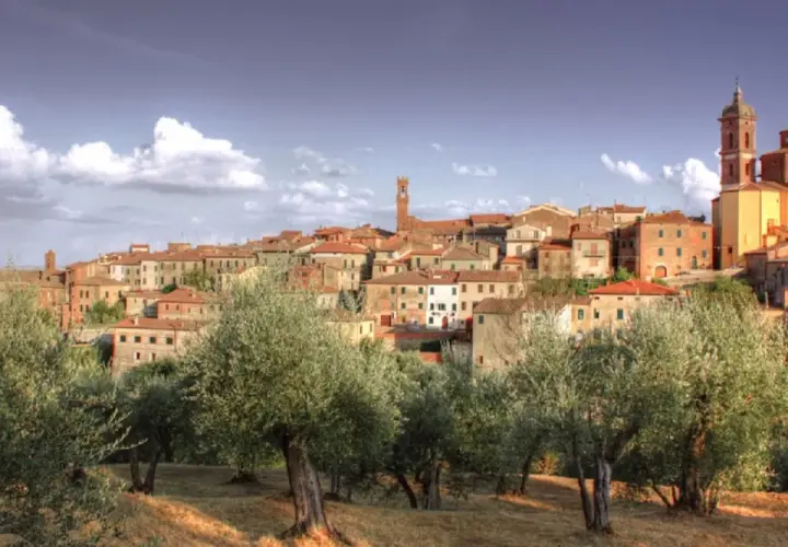 Vue panoramique de Sinalunga, un village toscan perché sur une colline, avec des oliviers au premier plan.