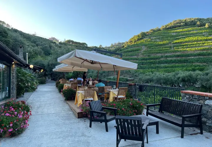 Terrasse d'un agriturismo en Italie du Nord, avec tables dressées sous parasols, vignoble en terrasse sur la colline.