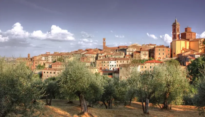 Vue panoramique de Sinalunga, un village toscan perché sur une colline, avec des oliviers au premier plan.