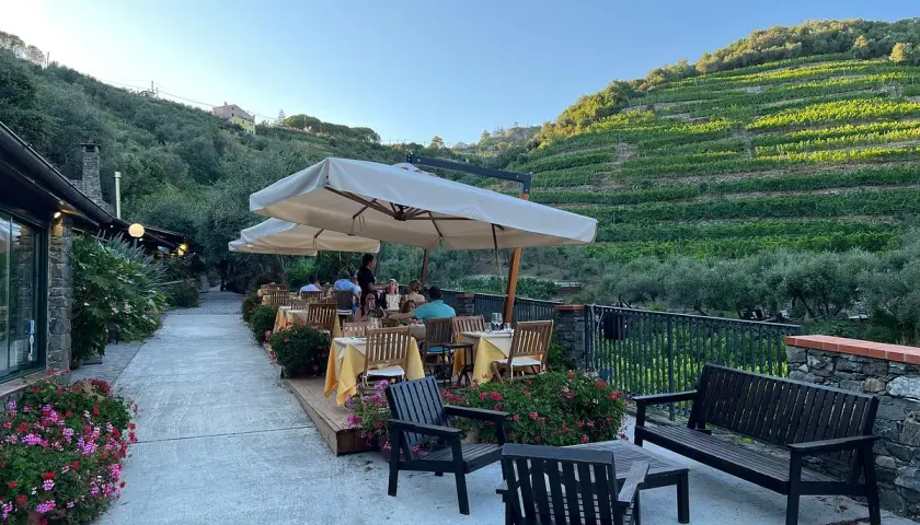 Terrasse d'un agriturismo en Italie du Nord, avec tables dressées sous parasols, vignoble en terrasse sur la colline.
