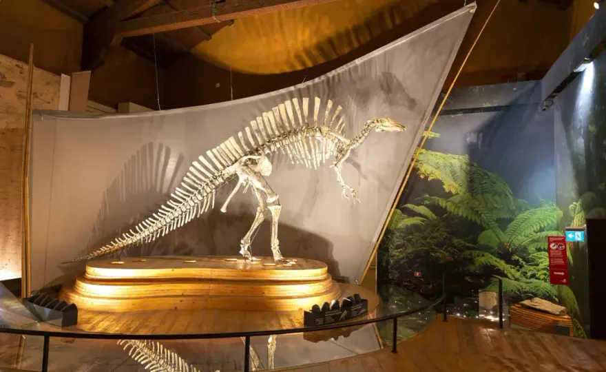 Musée d'Histoire Naturelle de Venise - Votre guide complet