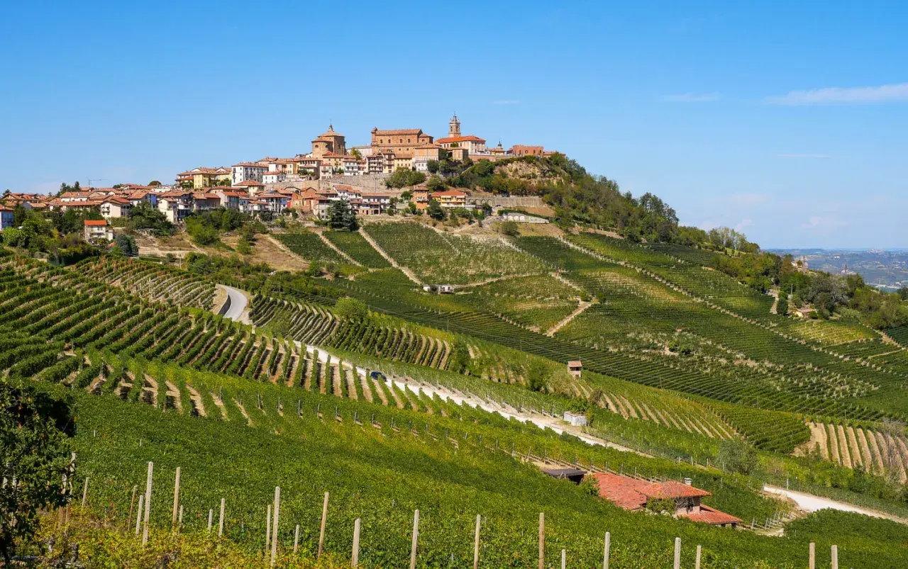 Vue panoramique de La Morra, Italie, avec ses vignobles en terrasses ondulant sur les collines, menant à un village pittoresque couronnant la crête.