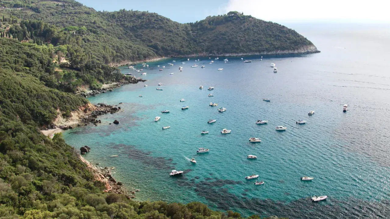 Baie pittoresque de Tirrenia, Italie, avec de nombreux bateaux naviguant sur des eaux turquoise cristallines bordées de collines verdoyantes.