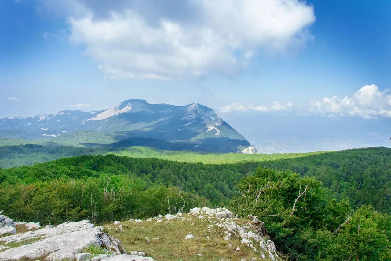 Vue panoramique des montagnes verdoyantes du Cilento, Italie, sous un ciel bleu parsemé de nuages blancs.
