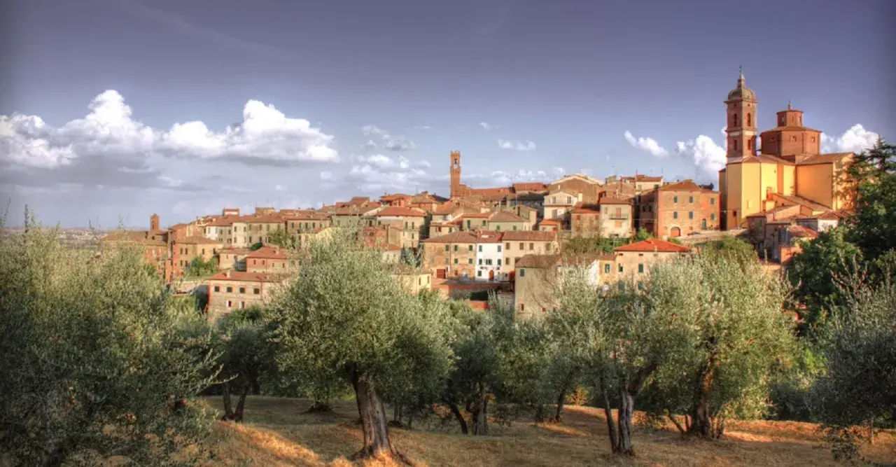 Vue panoramique de Sinalunga, un village toscan perché sur une colline, avec des oliviers au premier plan.