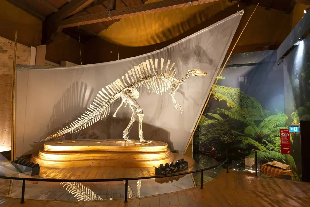 Squelette de dinosaure exposé dans un musée histoire naturelle Venise, sur fond de végétation luxuriante.