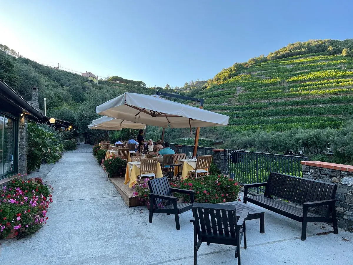 Terrasse d'un agriturismo en Italie du Nord, avec tables dressées sous parasols, vignoble en terrasse sur la colline.