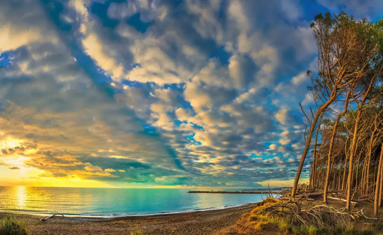 Coucher de soleil spectaculaire sur la plage de Cecina, Italie. Nuages dramatiques, mer turquoise et pins penchés.
