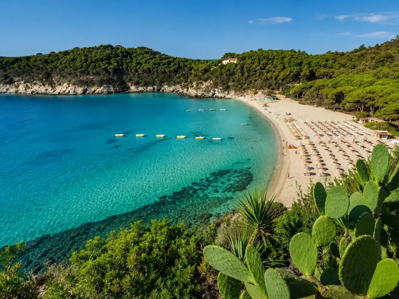 Plage idyllique aux îles Toscanes, eaux turquoise, sable fin, parasols et cactus luxuriants.