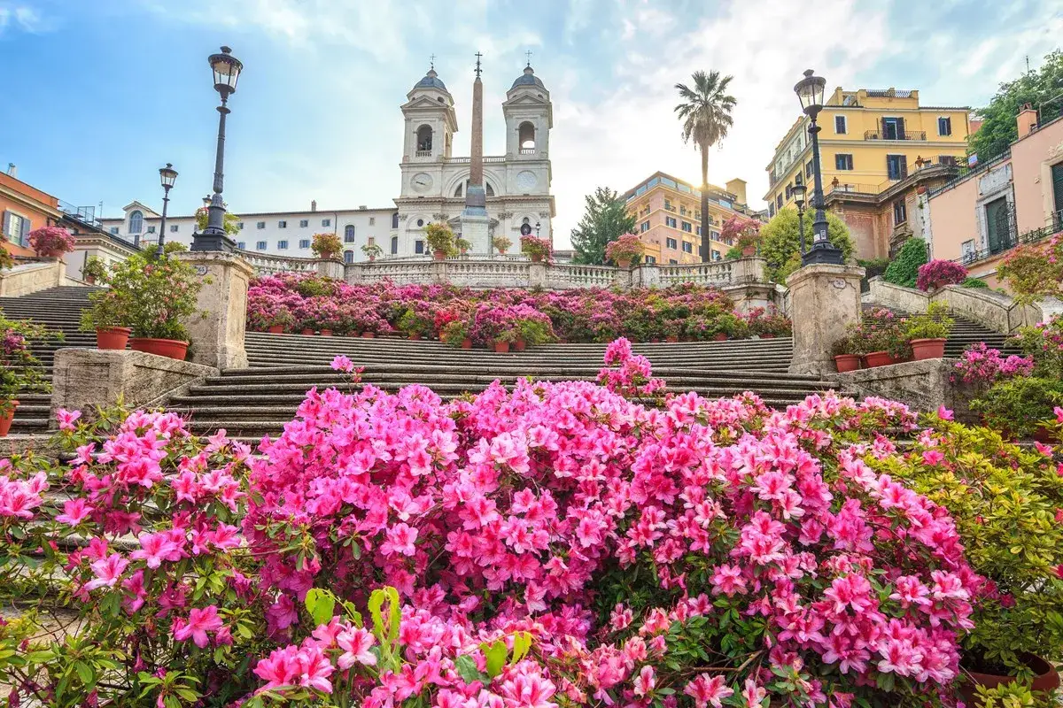 Magnifique escalier d'Espagne à Rome, orné de milliers d'azalées roses éclatantes sous un ciel bleu.