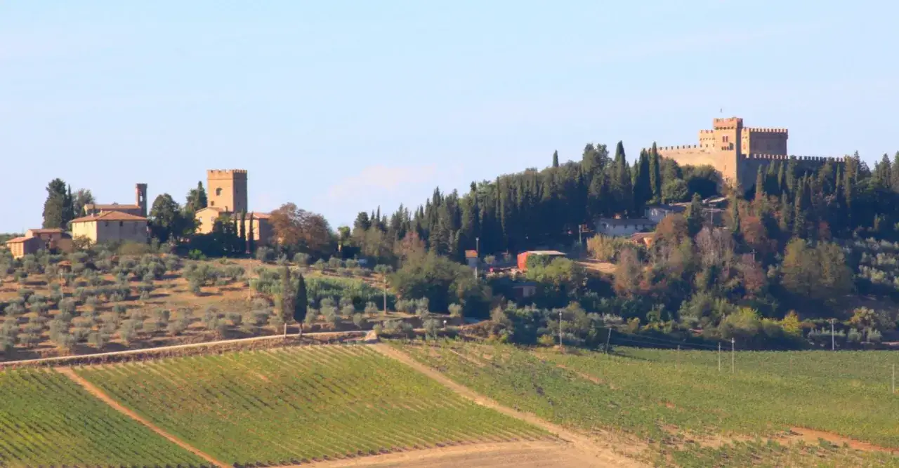 Paysage toscan avec vignobles et oliveraies menant &agrave; un ch&acirc;teau m&eacute;di&eacute;val pr&egrave;s de Poggibonsi, Italie.